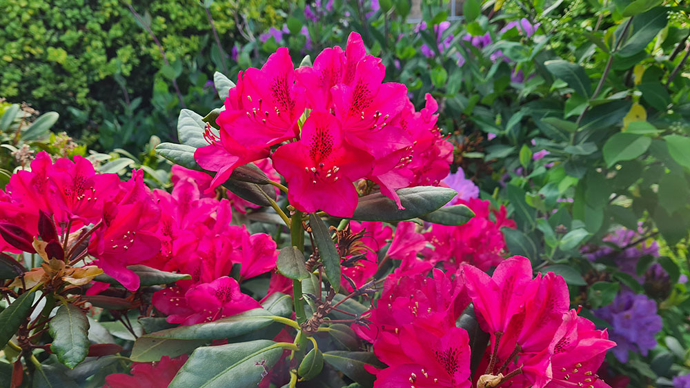 2021-06-06 08.29.52.jpg